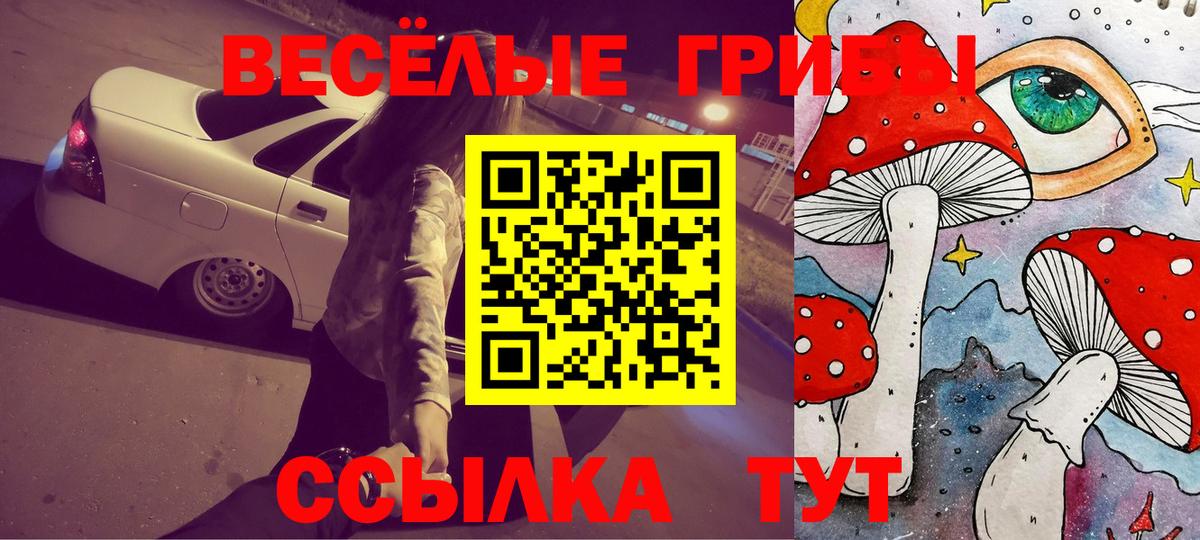 Псилоцибиновые грибы мицелий Кириши