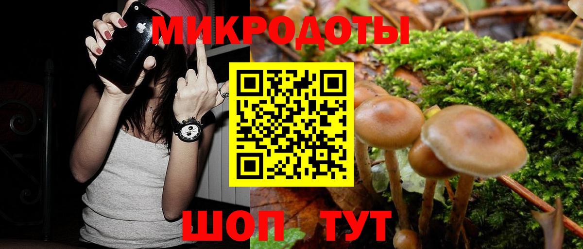 купить  цена  Псилоцибиновые грибы Magic Shrooms  Кириши  Вход с VPN  Псилоцибиновые грибы ЛСД 